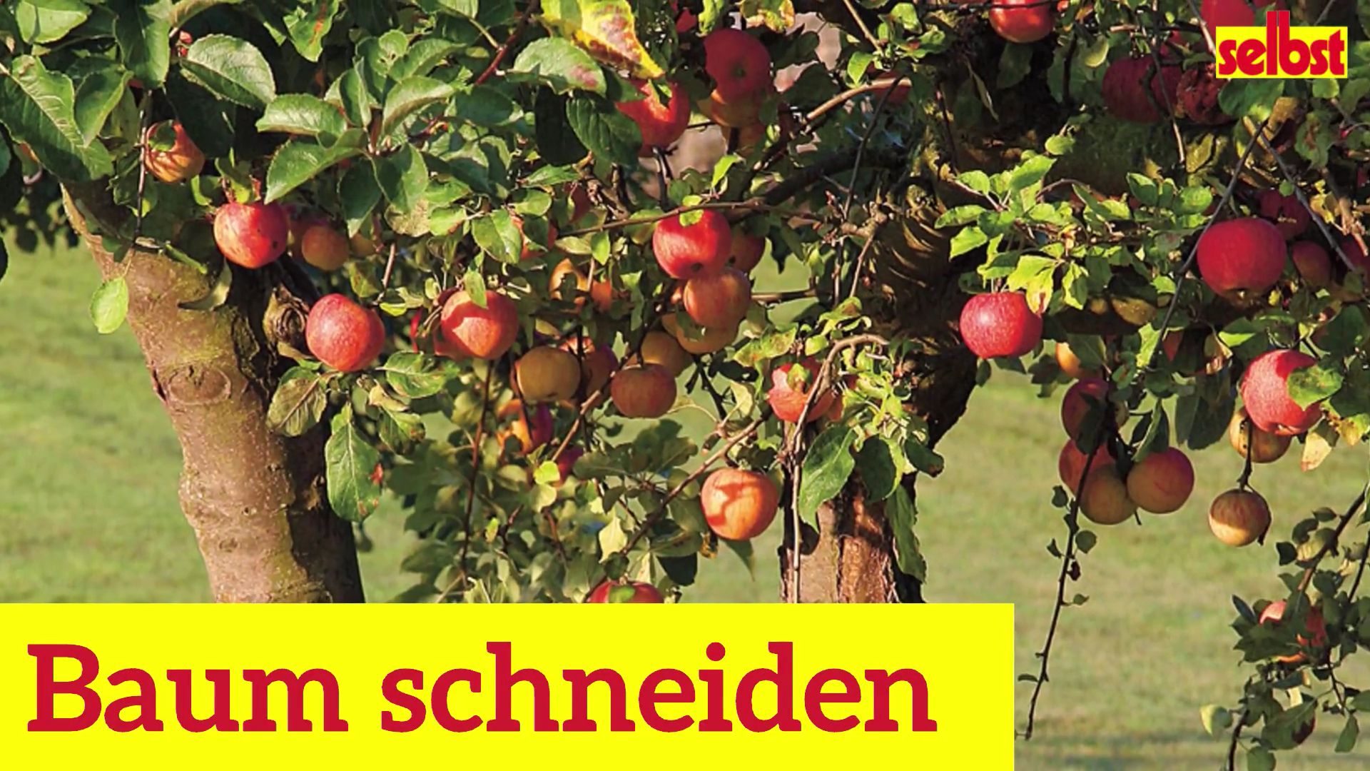 künstliche weihnachtsbäume mit schnee Energieeffizienter LED-Kunstweihnachtsbaum mit Schnee & robustem Ständer –  sekeymall main image 1