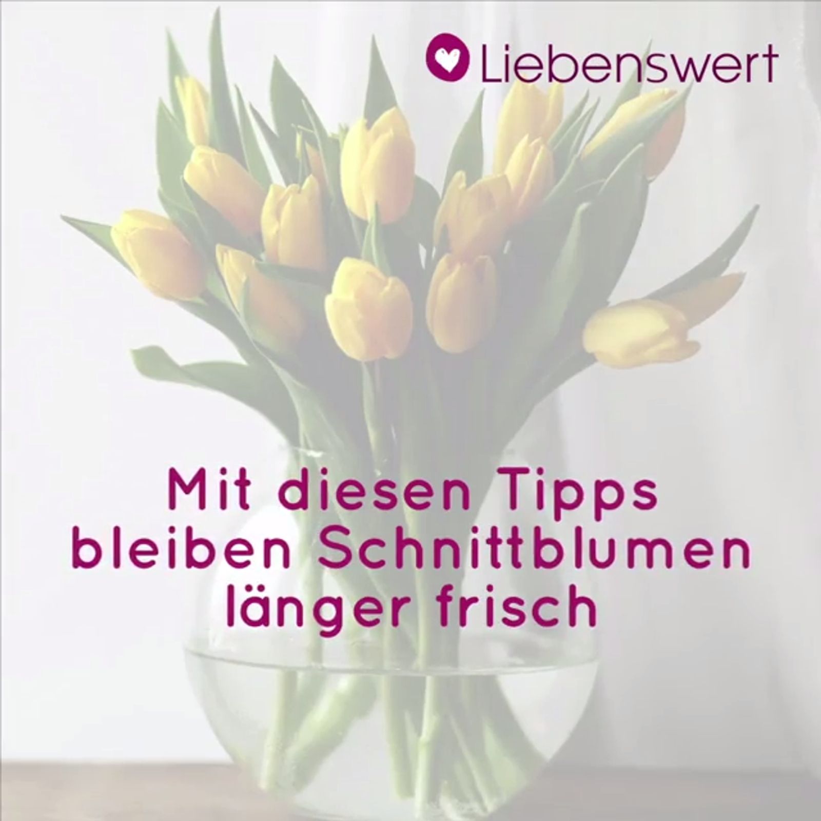 Frischetipps fr Schnittblumen