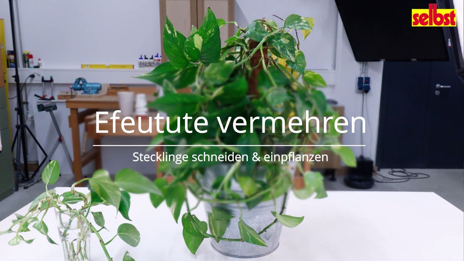kran fagus Fagus Holzspielzeug Mobilkran aus Holz main image 1