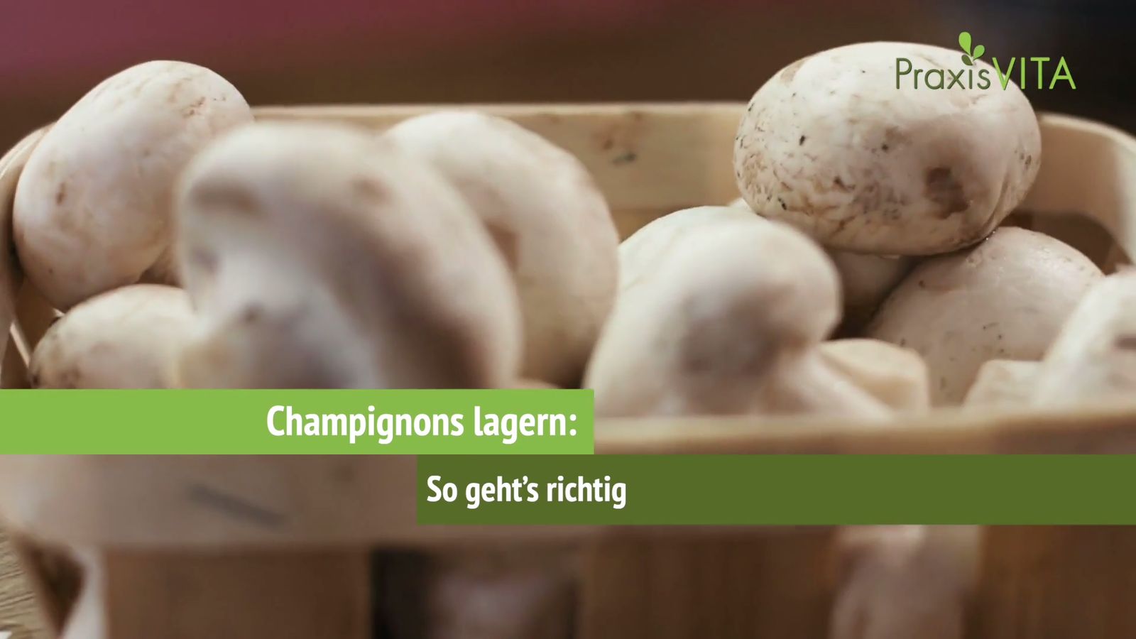 Pilze lagern