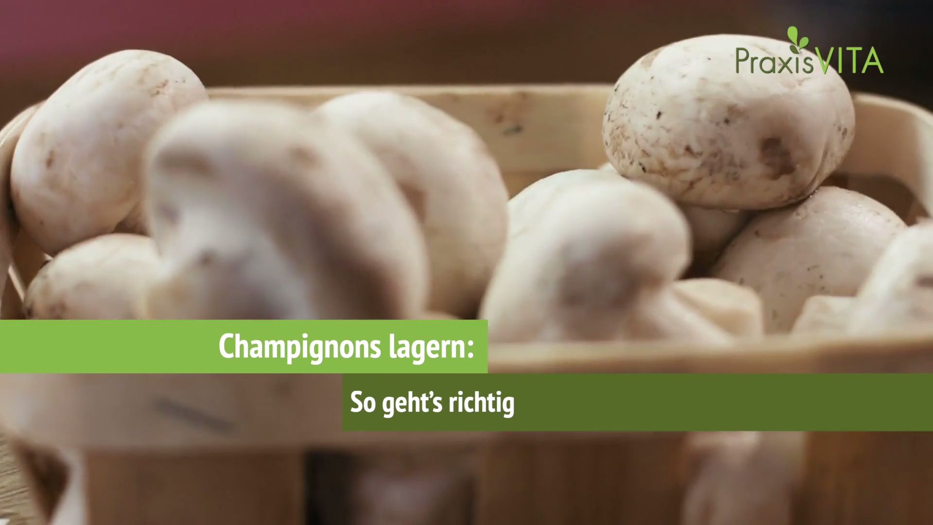 Pilze lagern