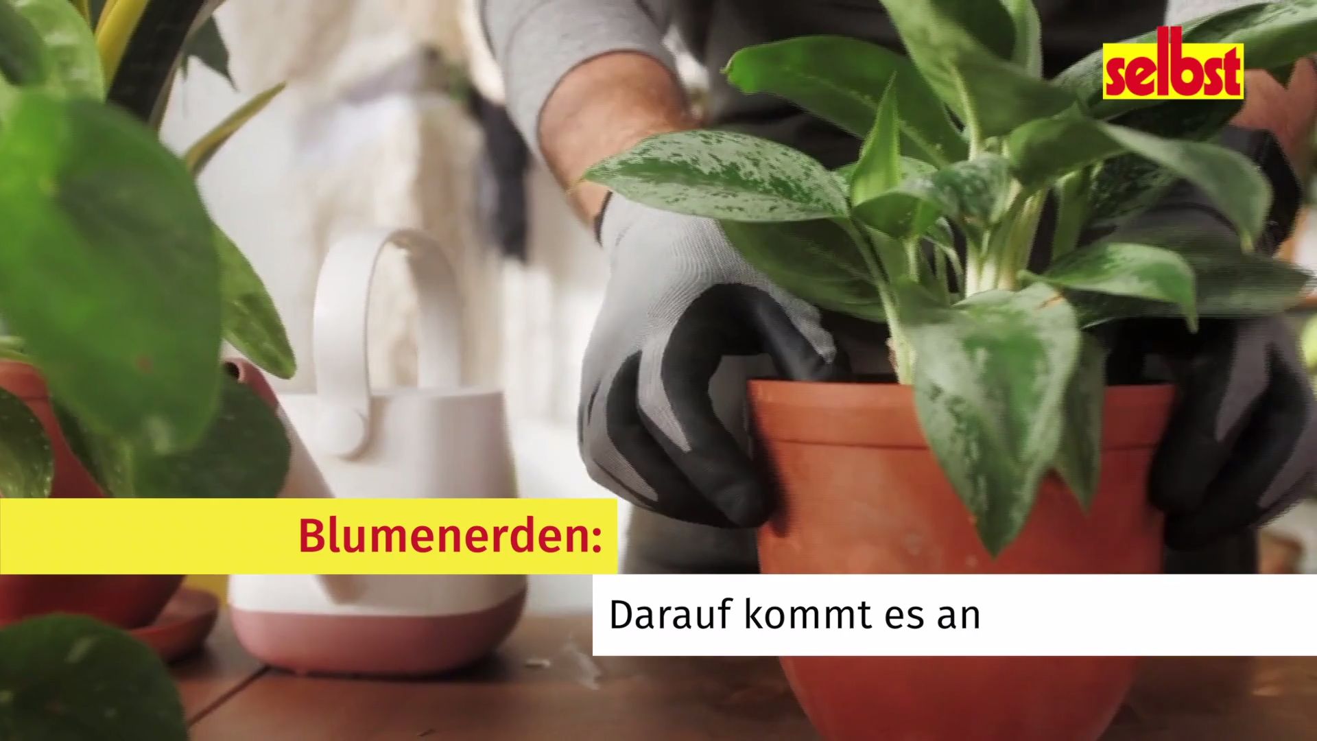 Blumenerden