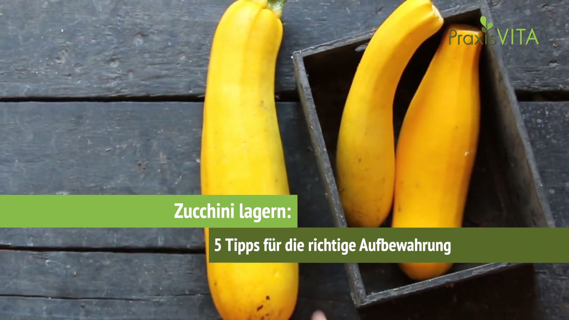 Zucchini lagern