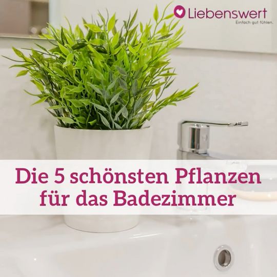 Badezimmerpflanzen Die 5 Pflanzen Sind Perfekt Geeignet Liebenswert